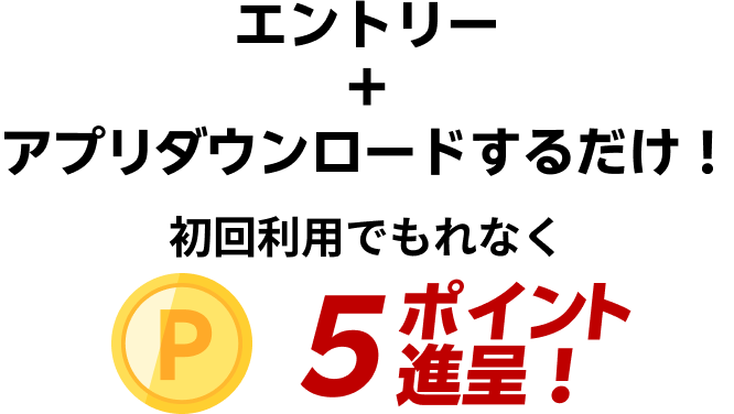 エントリータイトル